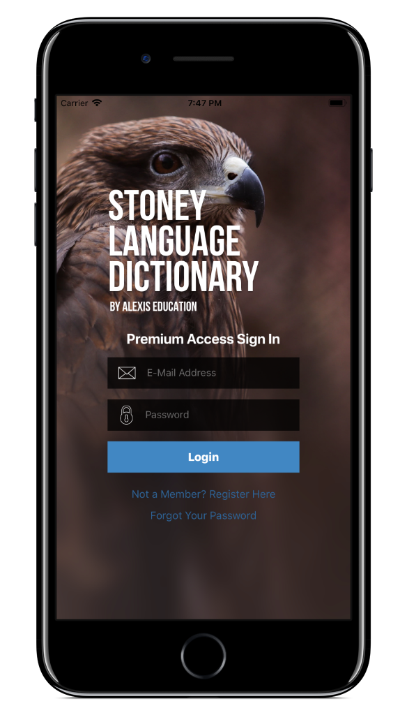stony login screen