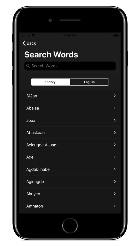 stoney word search screen